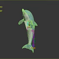 Spotting Dolphin Cartoon Dolphin Animation Dolphin Animation Dolphin Animation Character Game Character 3d model