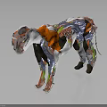 Detailed 3D Anatomical Panther Model Showing Muscles Bones And Vibrant Internal Structure Rendering