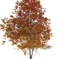 Autumn Themed Decorative Ornament Set With Fall Leaves And Hanging Apple Ornaments