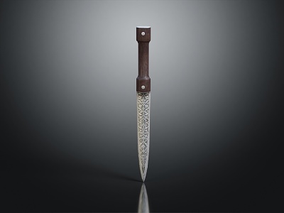 Modern Dagger Sword 3d model