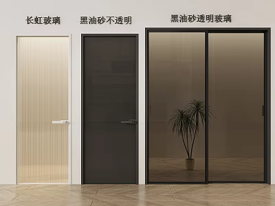 Contemporary Casement Doors Featuring Ribbed Glass And Black Oiled Sand Transparent Opaque Designs 3d model