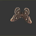 Brown Butterfly With White Spots Black Stripes And Red Eye Like Patterns On Wings