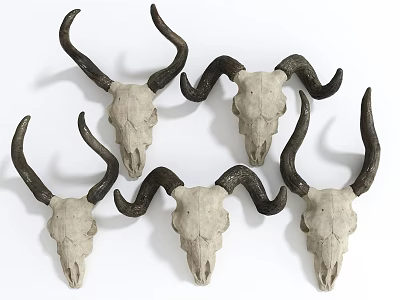 Unique Multiple Horned Skulls Animal Wall Decor for Natural Home Interior Decoration 3d model