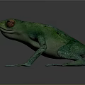 Green Frog with Red Eyes in 3D Model on Dark Background 3d model