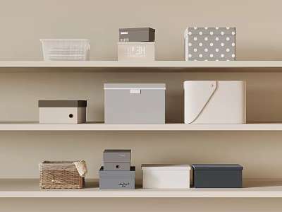 Organized Shelves Displaying Various Storage Boxes and Woven Baskets 3d model