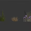 Various Decorative Plants Including Grasses And Purple Spherical Flowers On White Background