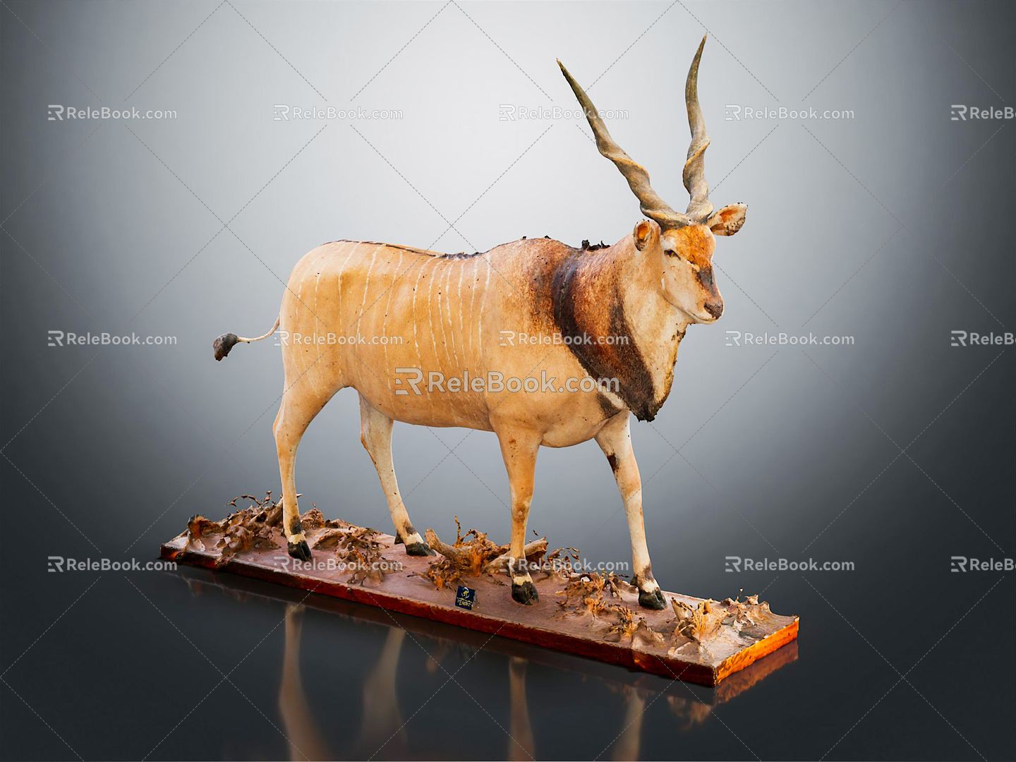 Modern antelope animals 3d model