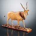 Modern antelope animals 3d model