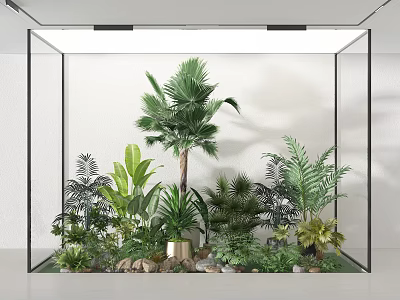 Indoor Plant Combination In Glass Container With Palm Tree Ferns And Stones 3d model