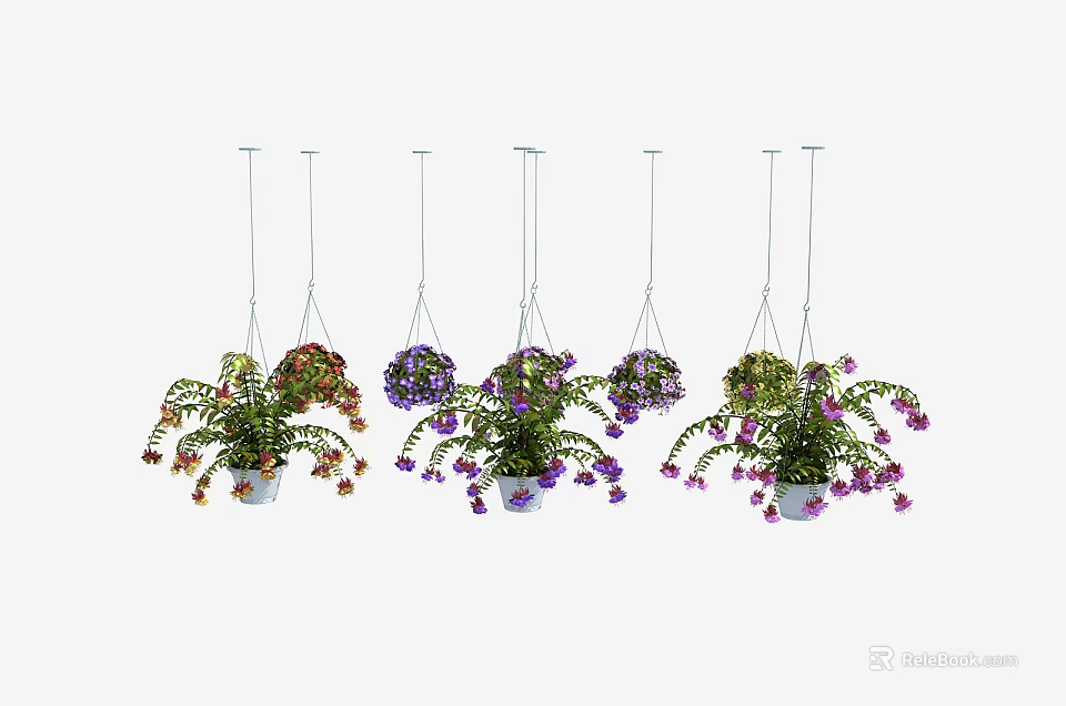 Stylish Hanging Basket Plants With Vibrant Flowers And Lush Green Foliage 3d model 