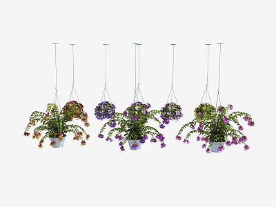 Stylish Hanging Basket Plants With Vibrant Flowers And Lush Green Foliage 3d model