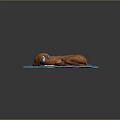 Cute Cartoon Brown Dog Lying On Soft Blue Blanket With Bone