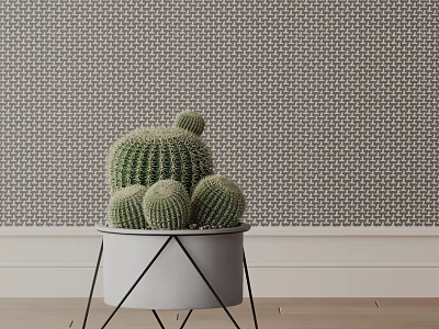 Potted Cactus Plant In White Pot With Black Stand Against Geometric Wallpaper And Wooden Floor 3d model