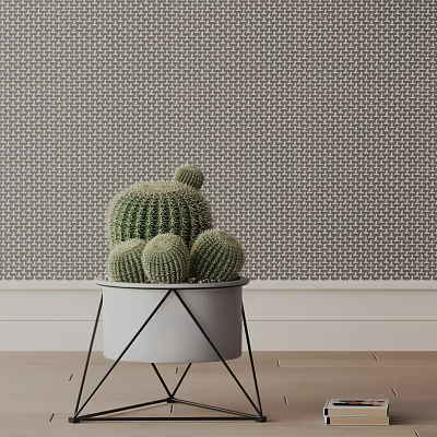 Potted Cactus Plant In White Pot With Black Stand Against Geometric Wallpaper And Wooden Floor 3d model