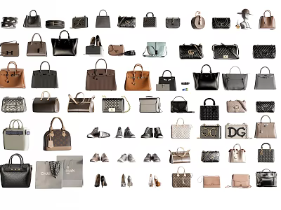 Assorted Fashionable Handbags Wallets And Shoes With Various Styles And Colors 3d model