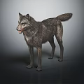 Realistic 3D Wolf Animal Character Model With Standing Pose And Fur Texture 3d model
