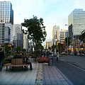 Modern Commercial Street With Tall Buildings Pedestrians Benches Trees And Vehicles