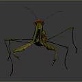 Modern mantis knife-winged insect 3d model