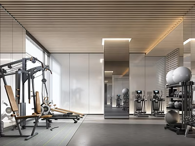 Modern Fitness Gym Interior With Workout Equipment Training Machines And Mirror Walls 3d model
