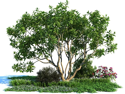 Lush Green Shrub With Dense Foliage And Surrounding Colorful Flowers In Garden Landscape 3d model
