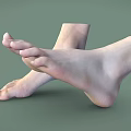 Man's Relaxed Bare Feet Anatomical Structure On Smooth Green Background
