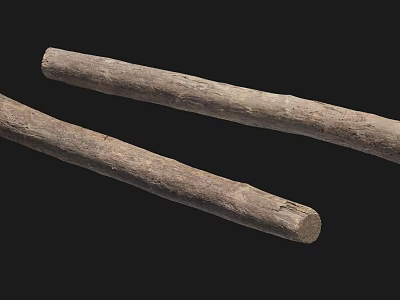 Natural Stone Wood Sticks With Textured Surface On Black Background 3d model