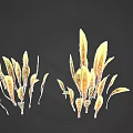 Yellow and Orange Plants with Slender Leaves on Black Background in Various Clusters