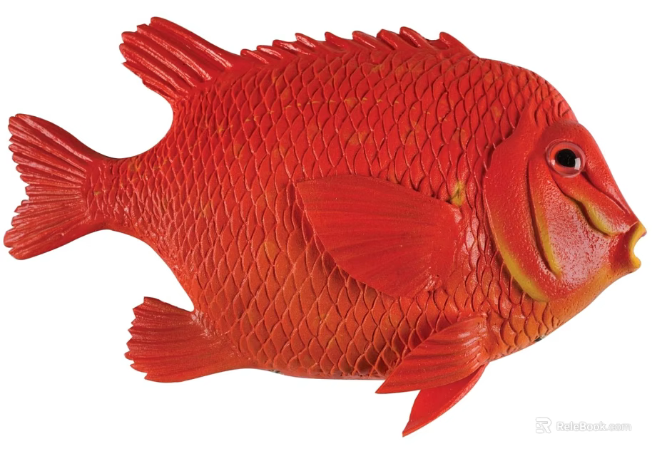 Red Aquatic Fish With Scales Fins And Vibrant Color Detailed Appearance 3d model 