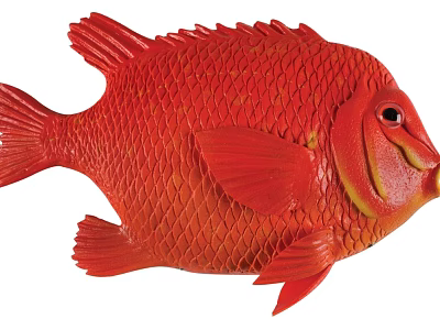 Red Aquatic Fish With Scales Fins And Vibrant Color Detailed Appearance 3d model