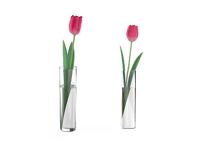 Clear Glass Vases With Pink Tulips Fresh Cut Flowers Water Filled Home Decor 3d model