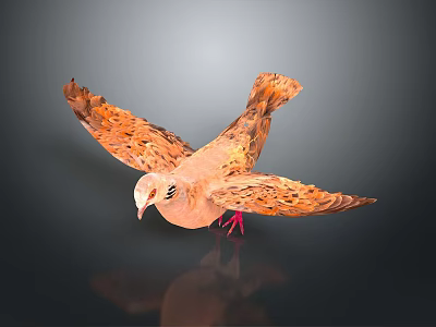 Game Movie Character Orange Pigeon With Spread Wings Flying Dark Background And Reflection 3d model