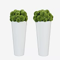 Two White Conical Pots With Green Spherical Decorative Bonsai Plants 3d model