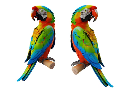 Two Colorful Parrots Perched on Wooden Sticks with Vibrant Feathers 3d model