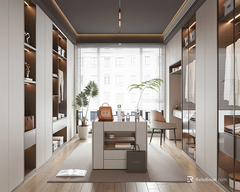 Modern Walk in Closet With Natural Light And Storage Cabinets 3d model 