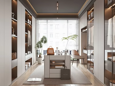 Modern Walk in Closet With Natural Light And Storage Cabinets 3d model