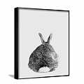 Black and White Rabbit Paintings with Front and Back Views in Framed Wall Art
