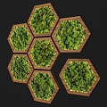 Modern Plant Wall Honeycomb Green Plant Wall Hexagonal Green Plant Wall Plant Decoration Wall Decoration Pendant Combination Creative Art Green Plant Wall 3d model