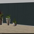 Bonsai Potted Plants In White Gold Striped Pots With Various Green Foliage Against Gray Wall