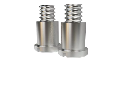Pair of Shiny Silver Metal Bolts with Threaded Cylindrical Bodies 3d model