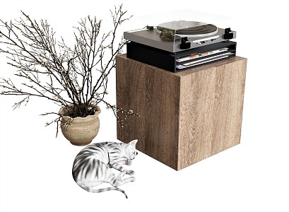 Modern record player sound plant vase cat 3d model