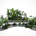 Lush Green Plants And Yellow Flowers In Welcome Area Decorative Garden
