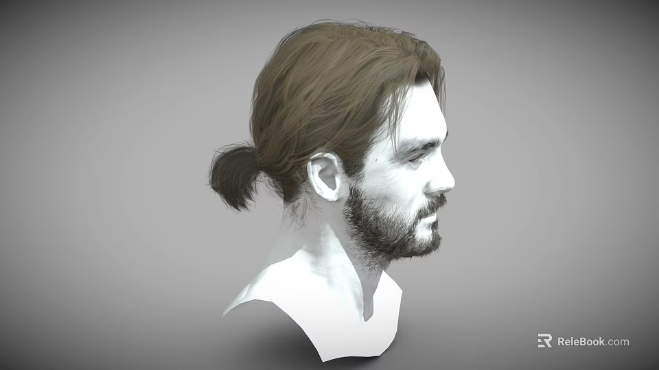 Man With Brown Hair Ponytail And Beard In 3D Head Side Profile Model 3d model 