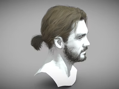 Man With Brown Hair Ponytail And Beard In 3D Head Side Profile Model 3d model