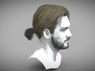 Men's Hairstyle 30 Hair Wig Hairstyle Beard Short Hair Long Hair Curly Hair Perm Men Anime Hair Braids Beard 3d model