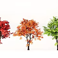 Garden Landscape Featuring Colorful Trees With Red Orange And Green Foliage