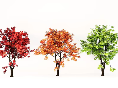 Garden Landscape Featuring Colorful Trees With Red Orange And Green Foliage 3d model