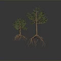 Two Trees With Visible Roots And Green Leaves On Gray Background 3d model