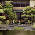 Traditional Japanese Courtyard Garden With Pruned Pine Trees Stone Lantern And Wooden Deck