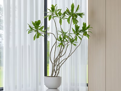 Modern Green Plant Potted Plant Indoor Plant Simulation Green Plant Green Plant Decoration Indoor Potted Plant 3d model