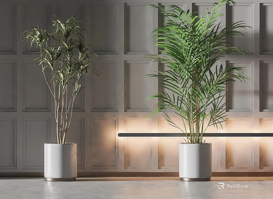 Indoor Potted Plants In White Pots With Gray Paneled Wall And Lighting 3d model 